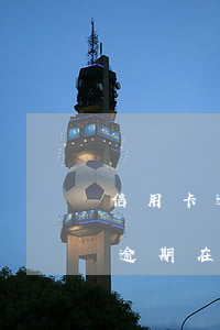 信用卡逾期在工廠電腦上顯示什么-信用卡逾期在工廠電腦上顯示什么內(nèi)容
