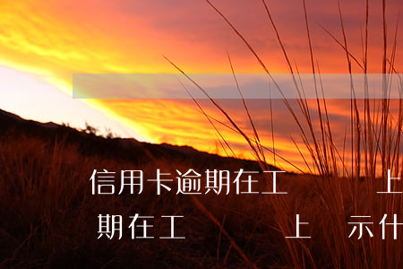 信用卡逾期在工廠電腦上顯示什么(信用卡逾期在工廠電腦上顯示什么)