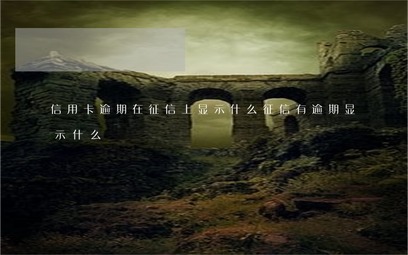 信用卡逾期在征信上显示什么(征信有逾期显示什么)