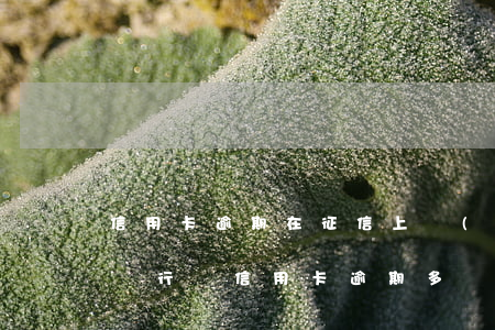 信用卡逾期在征信上會(huì)保留多久(銀行還信用卡逾期多長時(shí)間會(huì)上征信)