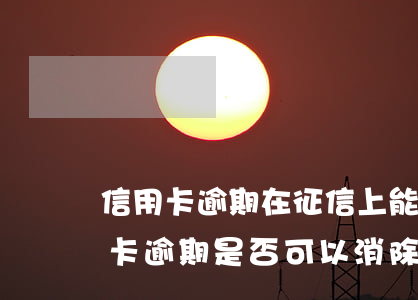 信用卡逾期在征信上能消除嗎-被拘留信用卡逾期是否可以消除征信