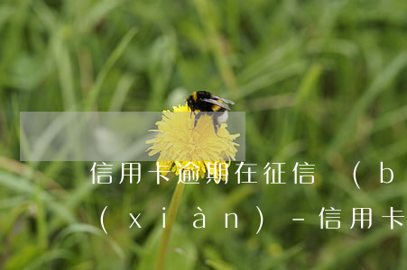 信用卡逾期在征信報(bào)告上的體現(xiàn)-信用卡逾期在征信報(bào)告上的體現(xiàn)是什么