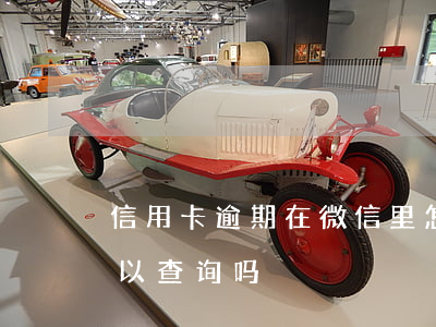 信用卡逾期在微信里怎么查(微信还信用卡可以查询吗)