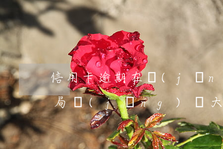 信用卡逾期在經(jīng)偵備案-公安局經(jīng)偵大隊(duì)負(fù)責(zé)信用卡逾期嗎