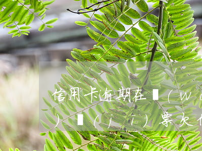 信用卡逾期在網(wǎng)上買(mǎi)機(jī)票(欠信用卡訂機(jī)票成功)