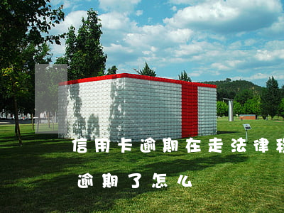 信用卡逾期在走法律程序該怎么辦(辦信用卡逾期了怎么辦)