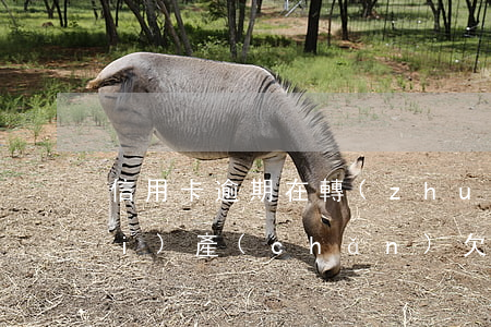 信用卡逾期在轉(zhuǎn)移財(cái)產(chǎn)(欠信用卡被起訴怎么轉(zhuǎn)移房產(chǎn))