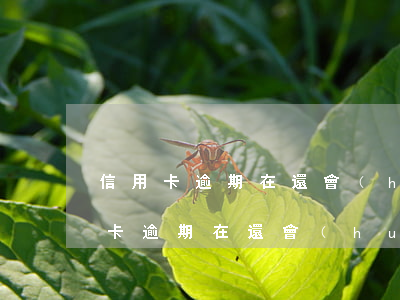 信用卡逾期在還會(huì)被起訴嗎(信用卡逾期在還會(huì)被起訴嗎)