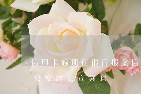 信用卡逾期在银行报案(信用卡逾期银行报警公安局会立案吗)