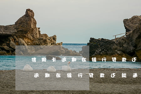 信用卡逾期在银行贷款还能通过吗?-信用卡逾期在银行贷款还能通过吗安全吗