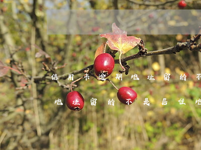 信用卡逾期地址留的不是居住地(信用卡逾期地址留的不是居住地)