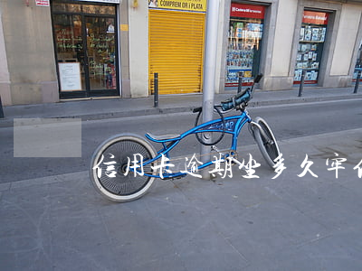 信用卡逾期坐多久牢(信用卡 逾期多久)