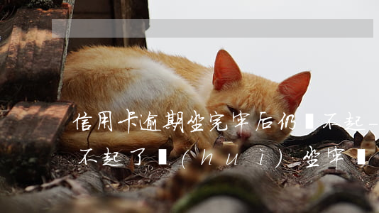 信用卡逾期坐完牢后仍還不起-欠信用卡還不起了會(huì)坐牢嗎