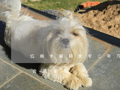 信用卡逾期坐牢三年(几万的信用卡逾期半年会坐牢吗?)