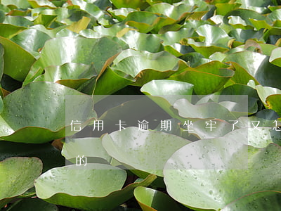 信用卡逾期坐牢了又怎樣(信用卡逾期有坐牢的嗎)