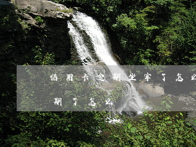 信用卡逾期坐牢了怎么辦(人在坐牢,信用卡逾期了怎么辦)