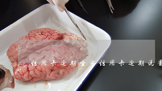 信用卡 逾期 坐牢（信用卡逾期说要抓捕）