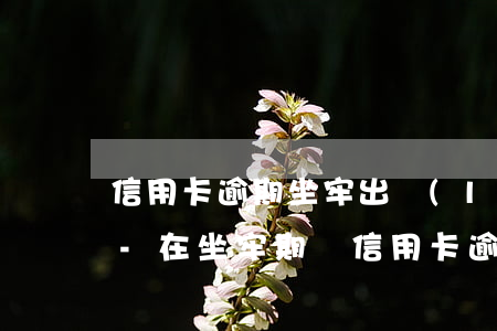 信用卡逾期坐牢出來(lái)還用不用還-在坐牢期間信用卡逾期了怎么辦