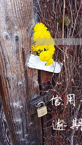 信用卡逾期坐牢出來后不還會怎樣-信用卡逾期坐牢出來后不還會怎樣處理