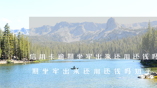 信用卡逾期坐牢出来还用还钱吗-信用卡逾期坐牢出来还用还钱吗知乎