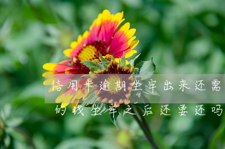 信用卡逾期坐牢出来还需要还钱吗(欠信用卡的钱坐牢之后还要还吗)