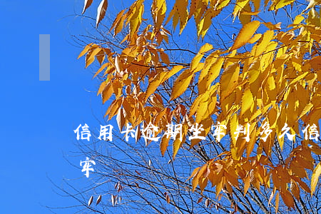 信用卡逾期坐牢判多久(信用卡逾期會判刑坐牢嗎)