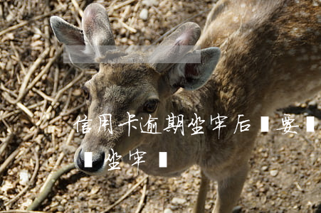 信用卡逾期坐牢后還要還(信用卡逾期還不上會坐牢嗎)