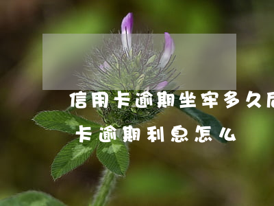 信用卡逾期坐牢多久后面還款了 因坐牢信用卡逾期利息怎么辦