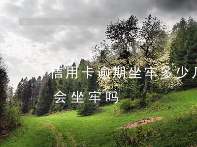 信用卡逾期坐牢多少(几万的信用卡逾期半年会坐牢吗?)
