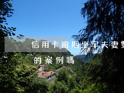 信用卡逾期坐牢夫妻雙方(有信用卡逾期坐牢的案例嗎)