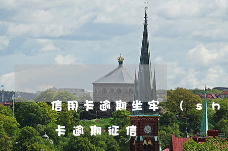 信用卡逾期坐牢實(shí)例(因坐牢信用卡逾期征信)