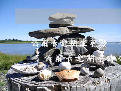 信用卡逾期坐牢影響子女(因為信用卡我坐牢了信用卡逾期有哪些影響)