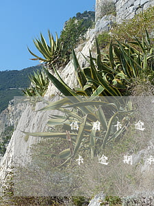 信用卡逾期坐牢時(shí)間(因坐牢信用卡逾期利息怎么辦)