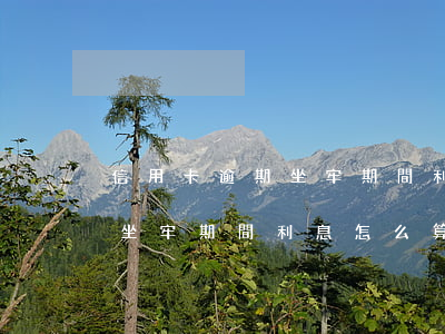信用卡逾期坐牢期間利息怎么算(信用卡逾期坐牢期間利息怎么算的)