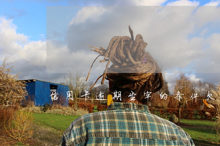 信用卡逾期坐牢的条件 欠信用卡期间坐牢