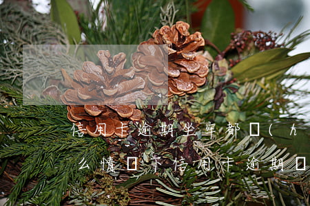 信用卡逾期坐牢都會(huì)干些什么 什么情況下信用卡逾期會(huì)坐牢