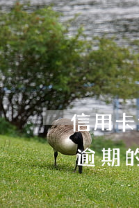 信用卡逾期坐玩牢后錢怎么還(怎么還信用卡逾期的錢)