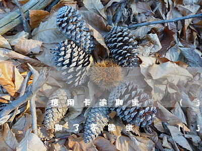 信用卡逾期坐飛機(jī)沒事吧(信用卡逾期了不能坐飛機(jī)嗎)