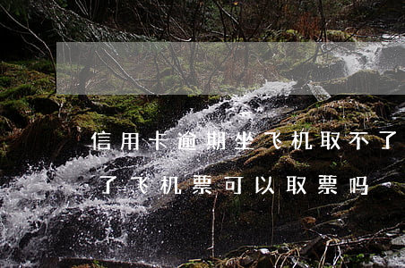 信用卡逾期坐飞机取不了票么(征信逾期买得了飞机票,可以取票吗)