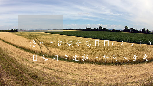 信用卡逾期坐高鐵會(huì)被抓嗎(支付寶信用卡逾期一年可以坐高鐵嗎?)