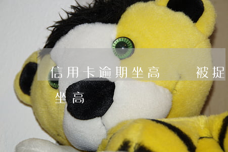 信用卡逾期坐高鐵會被捉嗎(銀行卡逾期可以坐高鐵嗎)