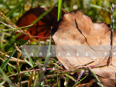 信用卡逾期坐高鐵有影響嗎(征信有逾期會影響坐高鐵嗎)
