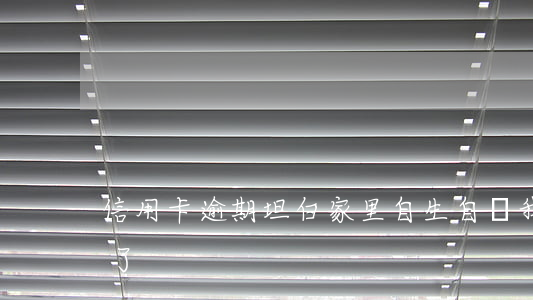 信用卡逾期坦白家里自生自滅(我信用卡逾期了)