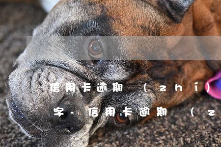 信用卡逾期執(zhí)法部門需要家屬簽字-信用卡逾期執(zhí)法部門需要家屬簽字嗎