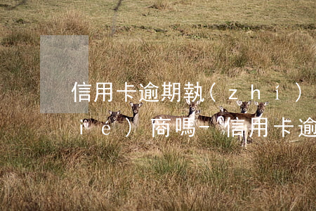 信用卡逾期執(zhí)行了還可以協(xié)商嗎-信用卡逾期執(zhí)行了還可以協(xié)商嗎怎么辦
