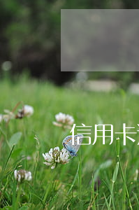 信用卡逾期執(zhí)行壞賬處理(信用卡壞賬執(zhí)行流程)