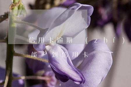 信用卡逾期執(zhí)行會怎樣(逾期嚴重能辦到信用卡嗎)