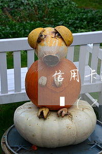 信用卡逾期執(zhí)行標(biāo)準(zhǔn)(信用卡逾期執(zhí)行標(biāo)準(zhǔn)最高多少錢)