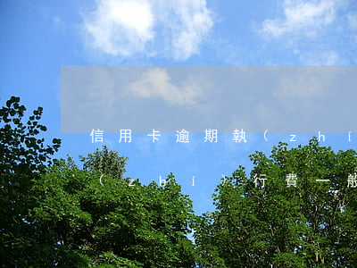 信用卡逾期執(zhí)行費(信用卡逾期執(zhí)行費一般多少錢)