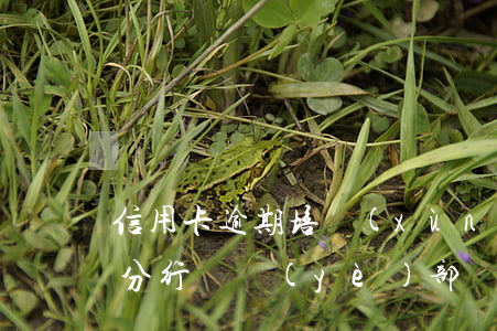 信用卡逾期培訓(xùn)總結(jié)(分行營業(yè)部開展信用卡培訓(xùn))